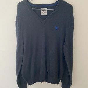 Express Dark Grey V-Neck Sweater